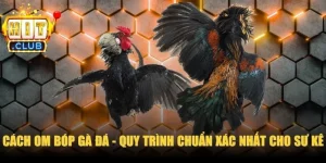 Cách Om Bóp Gà Đá